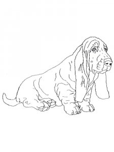 Basset Hound coloring page - picture 10