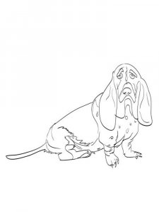Basset Hound coloring page - picture 11