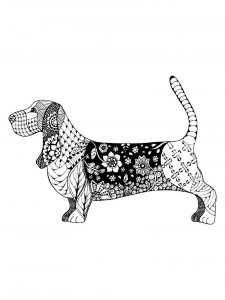 Basset Hound coloring page - picture 13