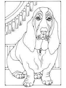 Basset Hound coloring page - picture 14
