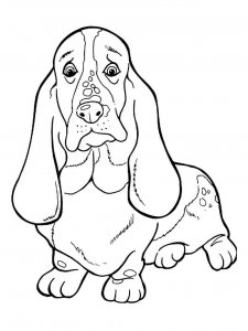 Basset Hound coloring page - picture 16