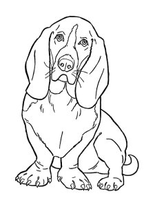Basset Hound coloring page - picture 20