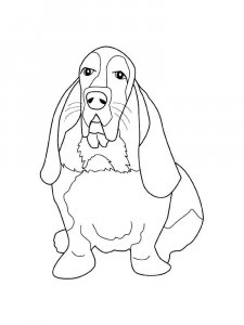 Basset Hound coloring page - picture 3