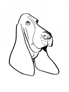 Basset Hound coloring page - picture 6