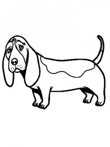 Basset Hound coloring page - picture 8