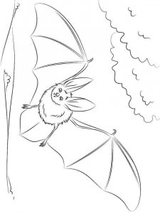 Bat coloring page - picture 2