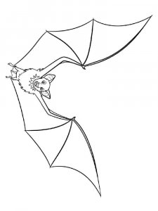 Bat coloring page - picture 3
