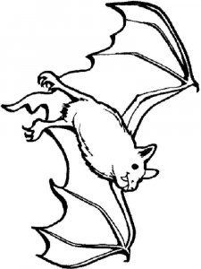 Bat coloring page - picture 8