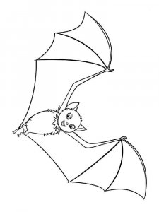 Bat coloring page - picture 9