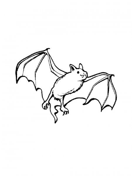 Bat coloring pages