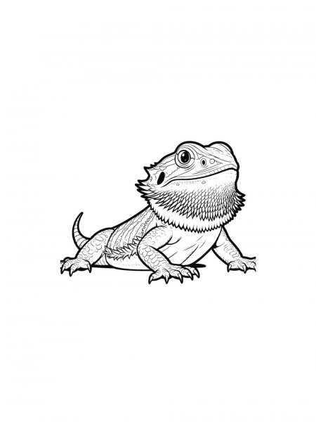 Bearded Dragon coloring pages