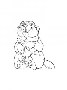 Beaver coloring page - picture 33
