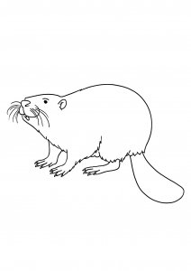 Friendly Beaver Coloring Page