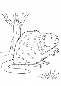 Beaver Standing Near a Tree Coloring Page