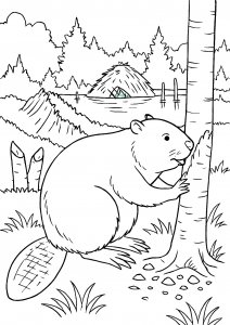 Beaver Chewing a Tree by the Water Coloring Page