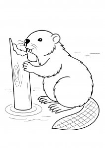 Beaver Chewing a Tree Trunk Near Water Coloring Page