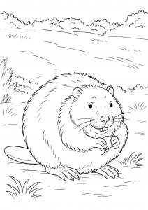 Friendly Beaver Sitting Near Bushes Coloring Page
