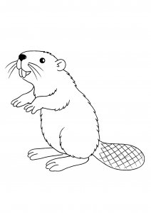 Beaver Standing Upright with Raised Front Paws Coloring Page