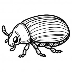 Beetle coloring page - picture 10