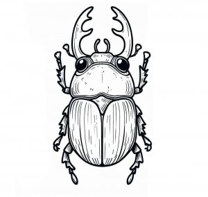 Beetle coloring page - picture 15