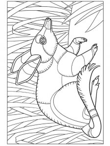 Bilby coloring page - picture 1