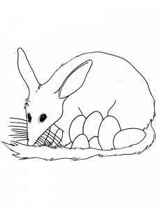 Bilby coloring page - picture 10