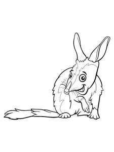 Bilby coloring page - picture 13