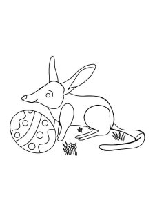 Bilby coloring page - picture 5