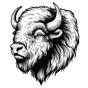 Bison coloring page - picture 22