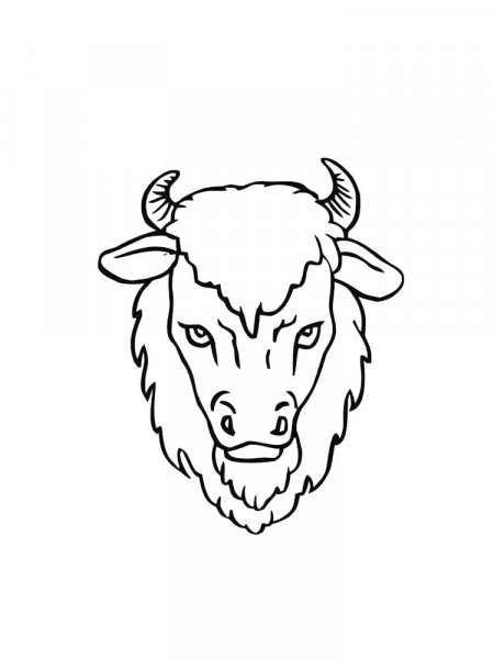 Bison coloring pages