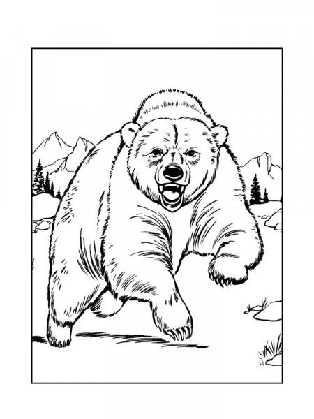 Black Bear coloring pages