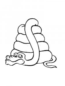 Boa snake coloring page - picture 10