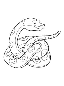 Boa snake coloring page - picture 15
