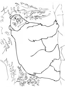 Brown Bear coloring page - picture 10