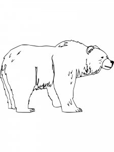 Brown Bear coloring page - picture 13
