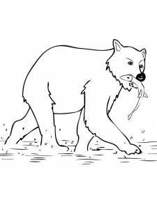 Brown Bear coloring page - picture 15