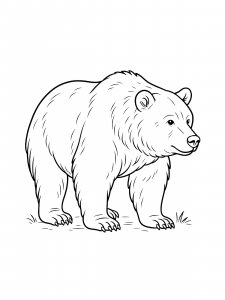 Siberian Brown Bear Coloring Page