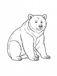 Sitting Brown Bear Coloring Page