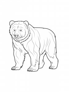 Ussuri Brown Bear Coloring Page