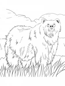 Brown Bear coloring page - picture 4