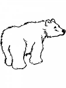 Brown Bear coloring page - picture 5