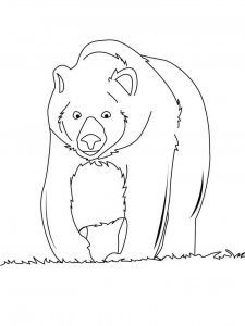 Brown Bear coloring page - picture 6