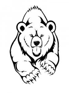 Brown Bear coloring page - picture 8