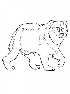 Brown Bear coloring page - picture 9