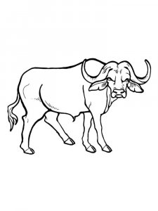 Bull coloring page - picture 13