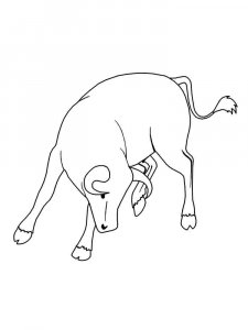 Bull coloring page - picture 16