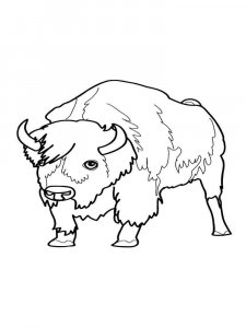 Bull coloring page - picture 21