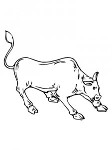 Bull coloring page - picture 26