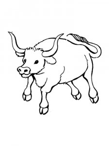 Bull coloring page - picture 27