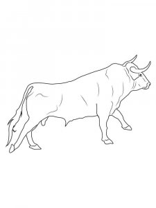 Bull coloring page - picture 38